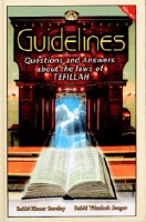 Guidelines to Tefillah Volume 2 [Hardcover]