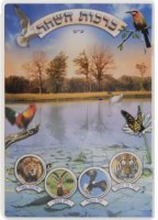 Birchas HaShachar Laminated Booklet Hebrew Edut Mizrach Bird Cover Design