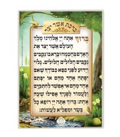 Asher Yatzar Laminated Card Medium Size Edut Mizrach