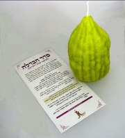 Havdallah Candle Esrog Shape with Berachos Card