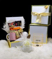 Purim Shalach Manos Gold Flakes Lucite Tzedakah Box Gift Box for Parents