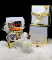 Purim Shalach Manos Gold Flakes Lucite Tzedakah Box Gift Box for Nurse