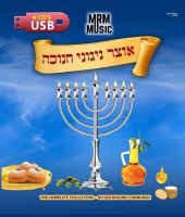 Otzar Niggunei Chanuka Collection USB