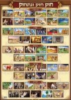 Laminated Sukkah Poster Parshios