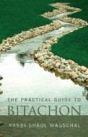 The Practical Guide to Bitachon [Hardcover]
