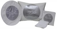 Pesach Set Vinyl 4 Piece White and Silver Circle Design