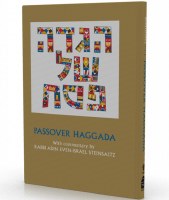 Passover Haggada Rabbi Adin Steinsaltz [Hardcover]