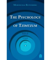 Psychology of Tzimtzum: Self, Other, and God [Hardcover]