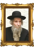 Portrait on Wood Rav Shteinman Zt"l 8" x 10"