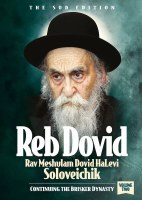 Reb Dovid Volume 2 Rav Meshulam Dovid HaLevi Soloveichik - Continuing the Brisker dynasty [Hardcover]