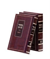 Machzor Eis Ratzon 2 Volume Set Sky Design Brown Ashkenaz [Hardcover]