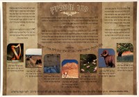 Ushpizin Pictorial Laminated Sukkah Poster