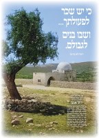Vinyl Sukkah Poster Kever Rochel Imeinu 20" x 28"