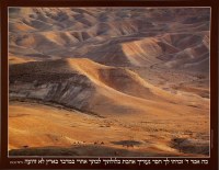 Midbar Yehuda Judean Desert Laminated Sukkah Poster