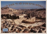 Har Habayis Laminated Sukkah Poster