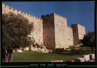 Chomos Yerushalayim Walls of Jersualem Laminated Sukkah Poster
