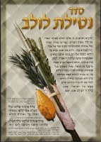 Seder Netilas Lulav Laminated Sukkah Poster