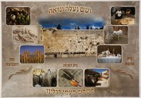 Shalosh Regalim Three Festivals Laminated Sukkah Poster