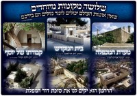 Mekomos Hakedoshim Laminated Sukkah Poster