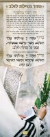 Vinyl Sukkah Poster Netilas Lulav 12" x 33"