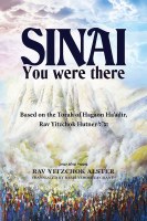 Sinai You were there [Hardcover]