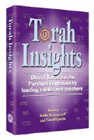 Torah Insights - Hardcover