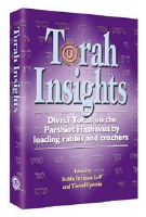 Torah Insights - Paperback