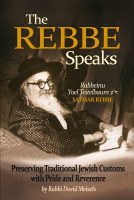 The Rebbe Speaks [Hardcover]
