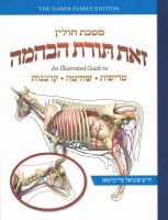 Zos Toras HeBehaima Maseches Chullin [Paperback]