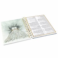 Additional picture of Lucite Haggadah Shel Pesach [Spiralbound]