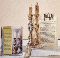 Additional picture of Lucite Tzedakah Charity Box Painted Vezakeini Design 5"