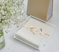 Additional picture of Lucite Square Napkin Holder Pesach Bar Gold 7"