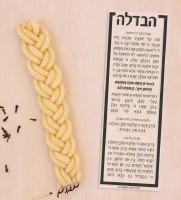 Additional picture of Faux Leather Havdallah Set Hebrew Menukad Silver Square Block Accent White