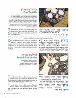 Additional picture of Spanish Illustrated Haggadah [Hardcover]