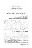 Additional picture of The Parashah and The Power of Speech [Hardcover]
