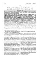 Additional picture of Schottenstein Edition Elucidated Rashi on Chumash Vayikra Volume 1[Hardcover]