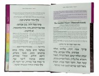 Additional picture of Women's Siddur Tehillas Nashim Hebrew with English Instructions Pink Ari [Hardcover]