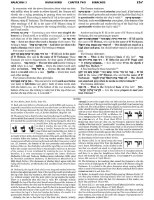 Additional picture of Schottenstein Talmud Yerushalmi English Edition [#10] Compact Size Tractate Maaser Sheni [Hardcover]