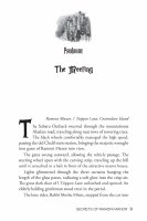 Additional picture of Secrets of Ramoni Manor [Hardcover]
