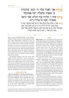 Additional picture of Siddur Illuminated by Chassidus Weekday Shacharis Ari [Hardcover]