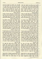Additional picture of Tikkun - The Torah Reader's Compendium - Deluxe Maroon Leather