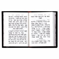 Additional picture of Tehillim Pocket Size Sefard Antique Leather Brown