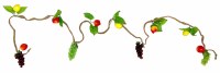 Additional picture of Sukkah Decoration Fruit and Grape Garland on Rope 9'