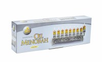 Additional picture of Silver Plated Flat Oil Menorah