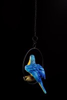 Additional picture of Parrot on Perch Hanging Sukkah Decoration