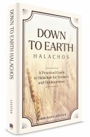 Additional picture of Down to Earth Halachos [Hardcover]