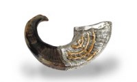 Additional picture of Annointing Oil Shofar Assorted Designs Single Piece 11.5"