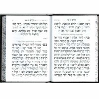 Additional picture of Tehillim Medium Antique Leather Maroon