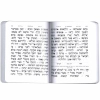 Additional picture of Tehillim Pocket Size Paperback Ashkenaz with Mincha Maariv Gold