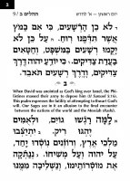 Additional picture of Tehillim Nochum Tzvi Extra Large Type Tehillim With English Introductions [Hardcover]